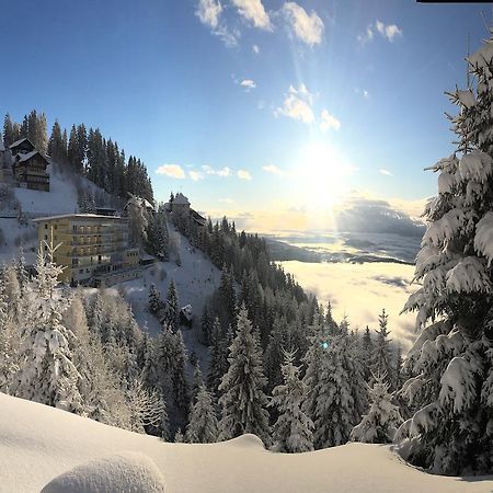 Sonnenhotel Zaubek Treffen Exterior foto