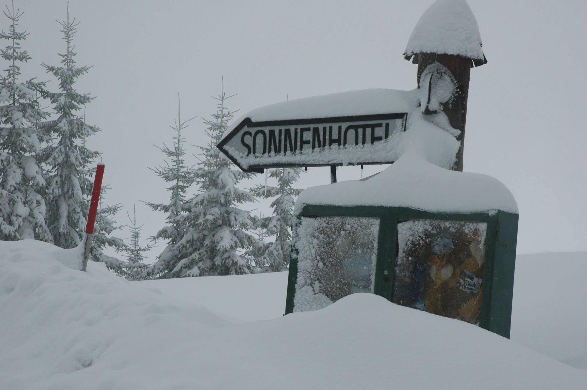 Sonnenhotel Zaubek Treffen Exterior foto